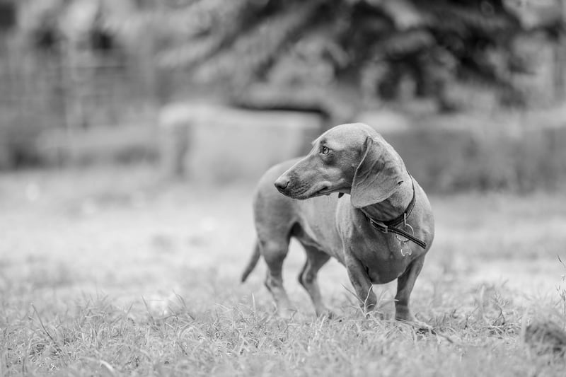 Playful Journeys